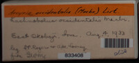 Image Associated With the Occurence